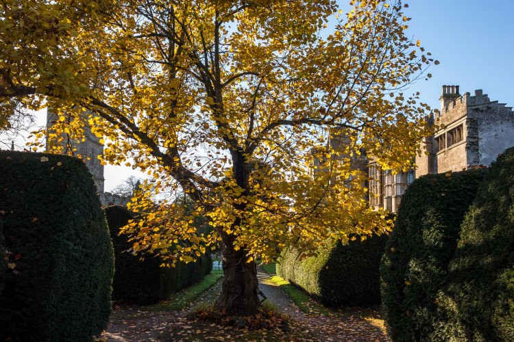 The World's Leading Eyes Wide Shut Parties and Erotic